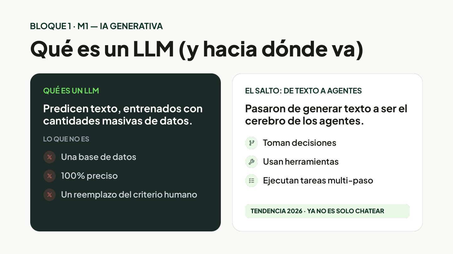 Lámina 3 de 16