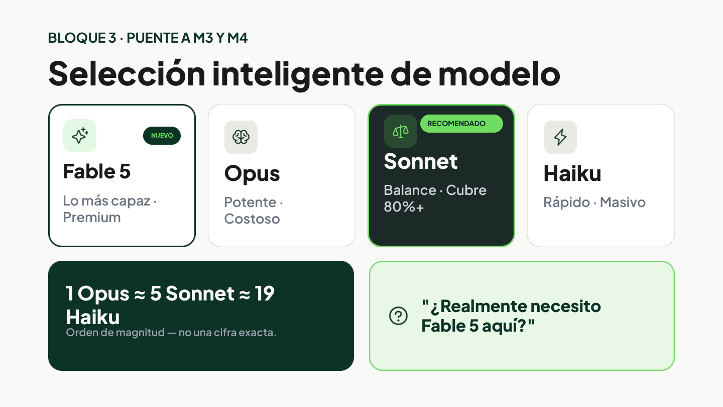 Lámina 7 de 16